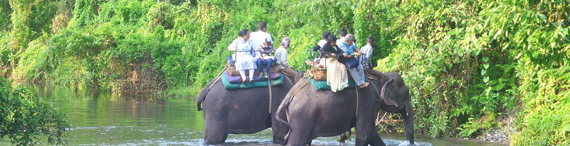 Gorumara National Park